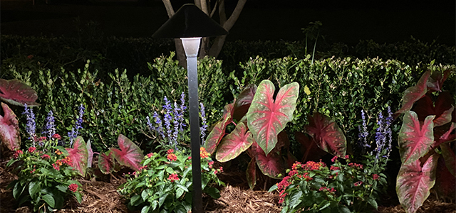 Landscape Lighting